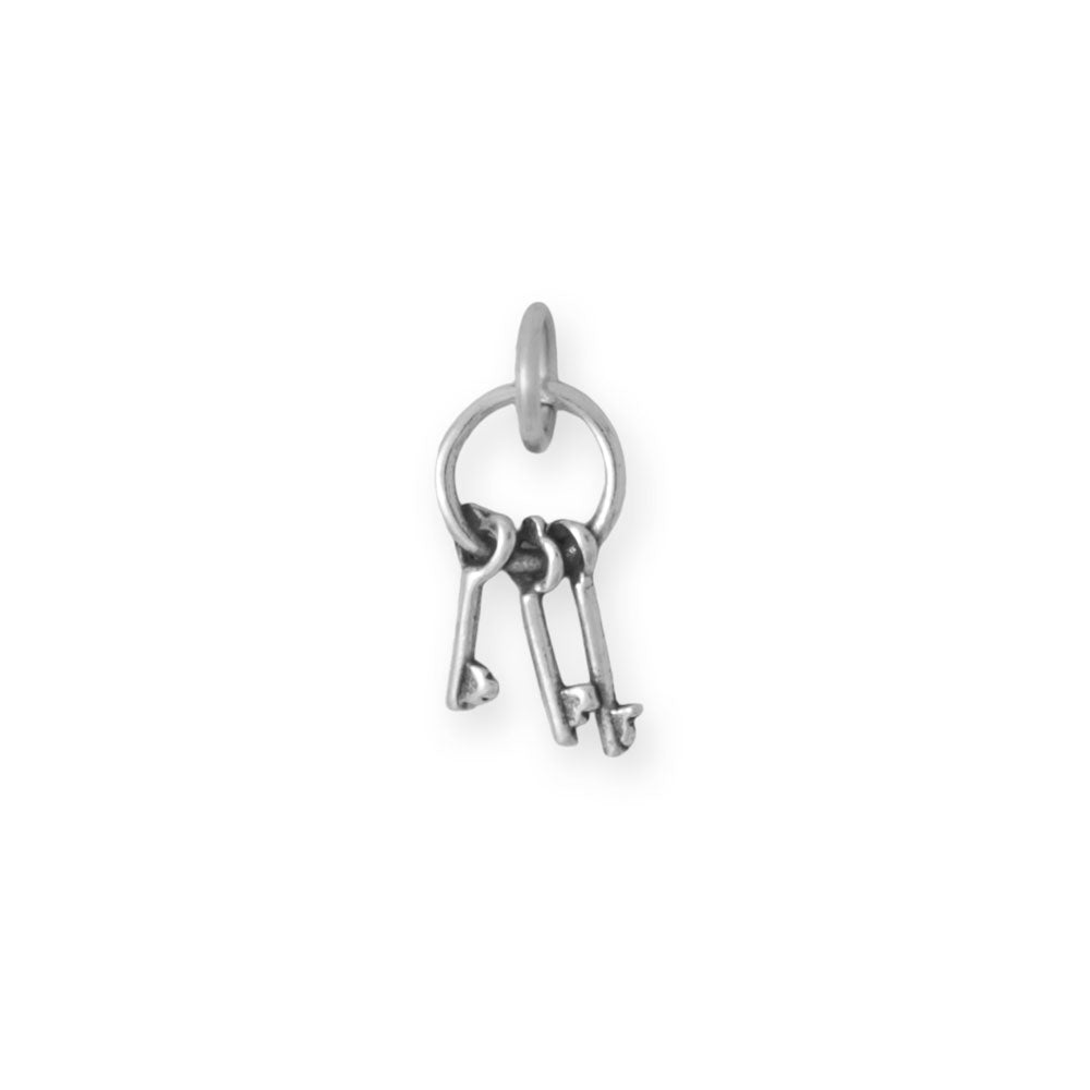 Oxidized Key Ring with Three Keys Charm